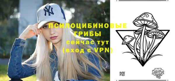 гашик Алексеевка