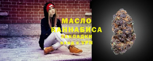 гашик Алексеевка