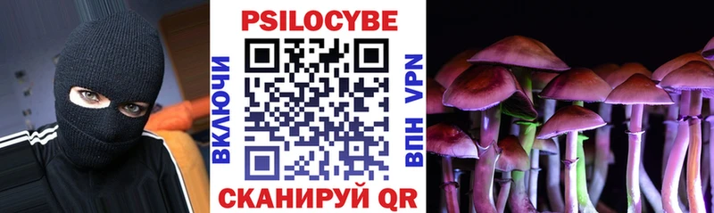 omg ONION  хочу наркоту  Ветлуга  Псилоцибиновые грибы Psilocybe 